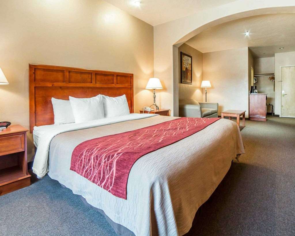 Comfort Inn At Convention Center Saint George Room photo